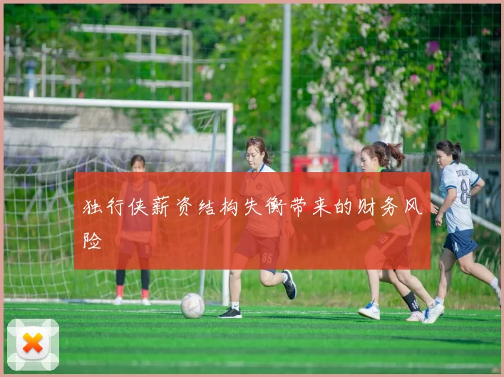 独行侠薪资结构失衡带来的财务风险