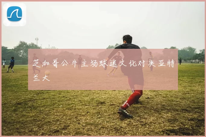 芝加哥公牛主场球迷文化对决亚特兰大