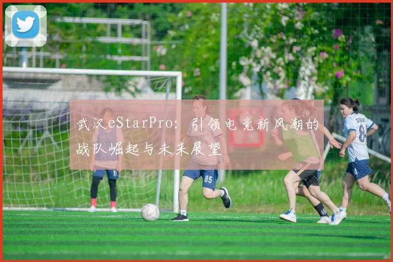 武汉eStarPro：引领电竞新风潮的战队崛起与未来展望