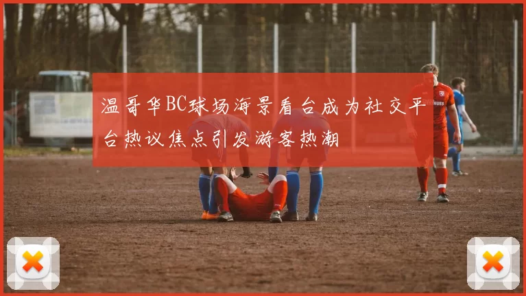 温哥华BC球场海景看台成为社交平台热议焦点引发游客热潮